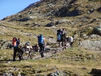 Vieleut è Muleut Vieleut è Muleut