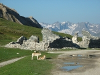 La storia