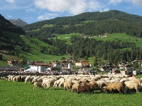 País