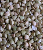 Il grano saraceno