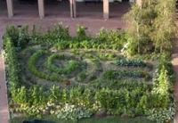 L’arte di coltivare lasciando fare alla terra