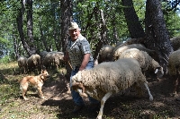 La vita dei pastori Ra vita di pastùu