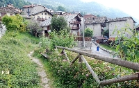 Ala