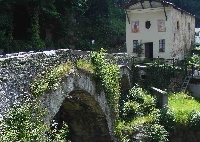 Corio
