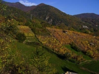 L'area del Pinerolese Pedemontano L'area del Pinerolese Pedemontano