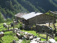 Oncino
