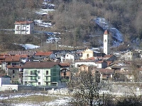 Moiola