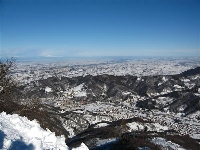 Robilante