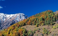 La montagna è una febbre che ti prende da piccolo La montagna è una febbre che ti prende da piccolo