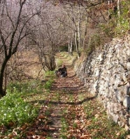 Pier Delfino Maritano spiega l’importanza delle strade - Valgioie