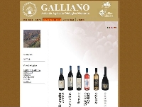 Vini e Mirtilli biologici dell'Azienda Galliano Vini e Mirtilli biologici dell'Azienda Galliano