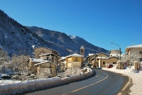 Frassino