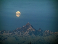 Notte