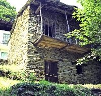 Fantone