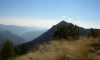 Il bosco di Gerbonte