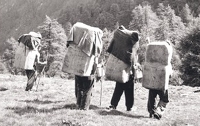 Il contrabbandiere di sale