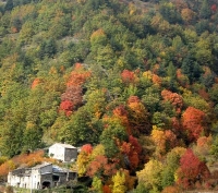Colombera (1)