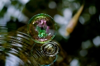 Bolle d'acqua