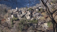 Ingria