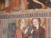 Clelia Baccon - Atti del Convegno
