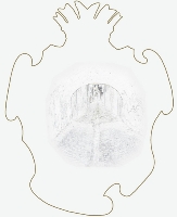 Vicolo Portone 