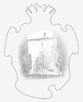 Cappella di San Pietro