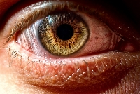 Come si curavano gli occhi rossi? E gli orzaioli?