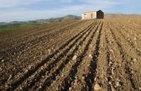 Uncem Nazionale: ricomposizione fondiaria, grave problema per la montagna, azzerate le imposte