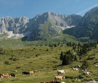 Approvata la legge regionale n. 21 volta ad incentivare lo sviluppo delle Associazioni Fondiarie