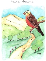 Vecchia stradina