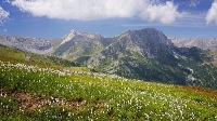 “Vado a vivere in montagna”: nasce lo sportello per fare impresa e abitare nelle terre alte