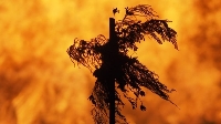 Per un dizionario etimologico dell’Occitano alpino (n.6): solestrelh [ sulestrej]; solestre [ sulestre] – oc. fuòc de Sant Joan; it. falò; fr. feu de joie