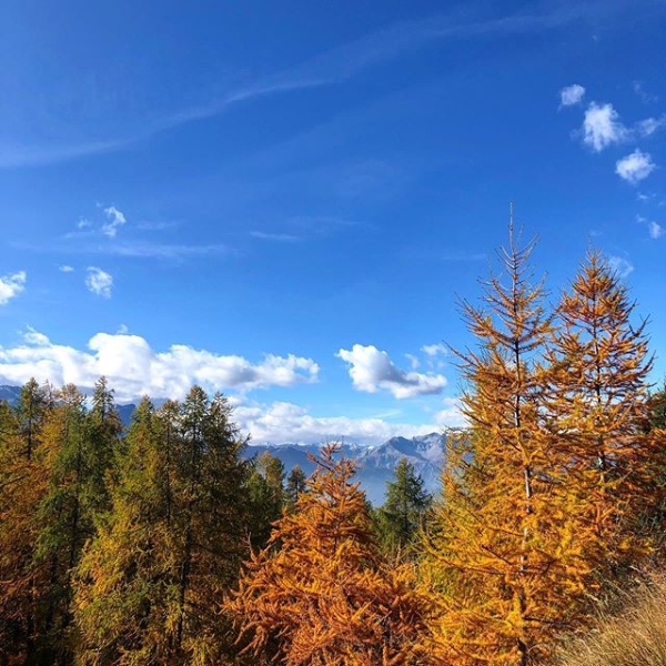 Montagne e natura