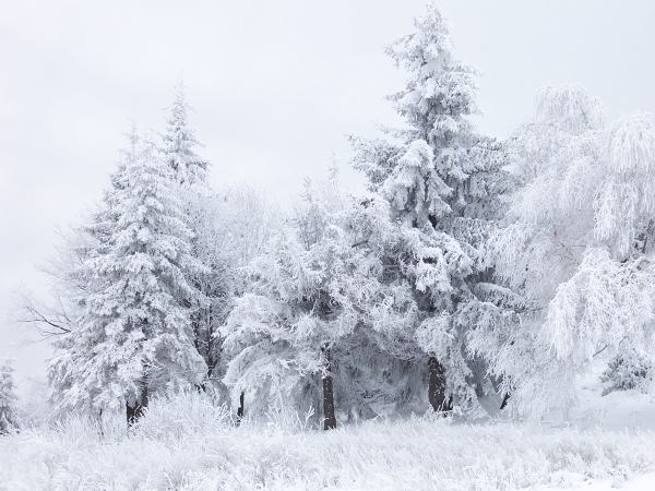 L'inverno