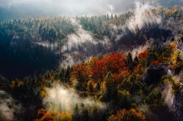 Autunno avanzato