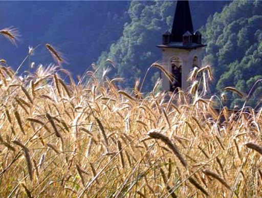 Paesaggio