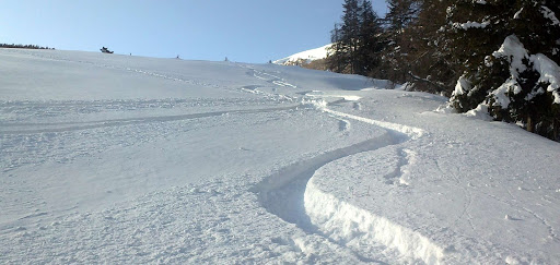 Fuori pista