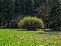 Cammino della vita