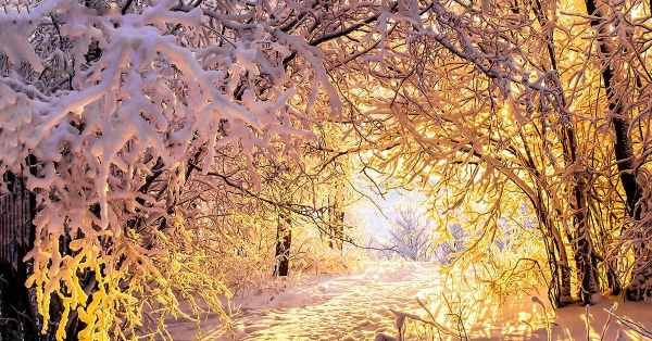 Inverno
