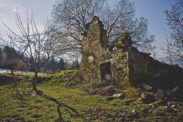 Bacchetta magica