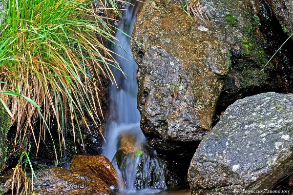 Acqua