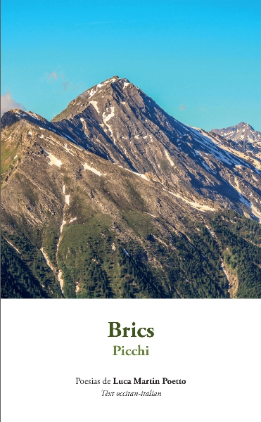 "Brics - Picchi" poesie di Luca Martin Poetto- Presentazione "Brics - Picchi" poesie di Luca Martin Poetto- Presentazione