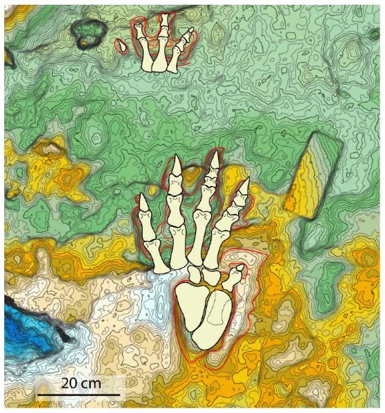 Sulle orme degli arcosauri della Gardetta