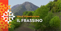 02 - Il frassino. Qualità e curiosità.