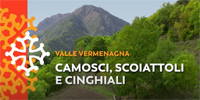 03 - Camosci, scoiattoli e cinghiali.