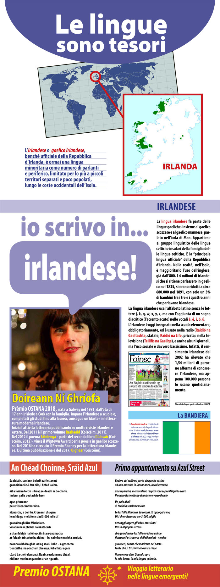 irlandese.jpg