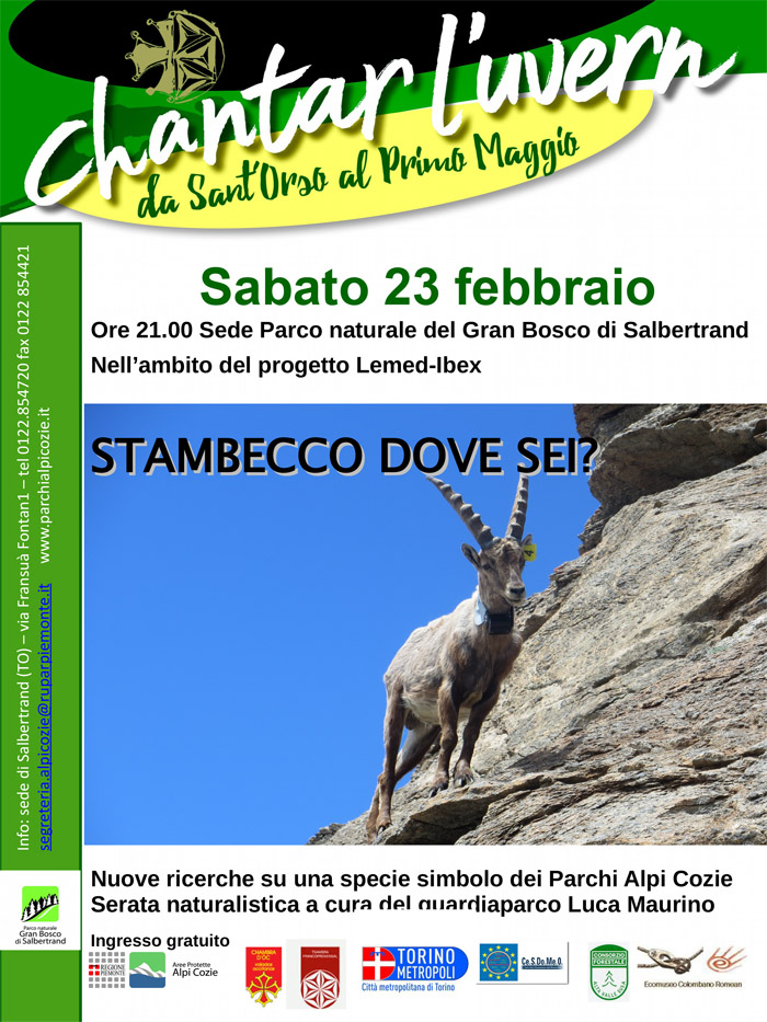23-2-stambecco.jpg