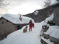 La neve