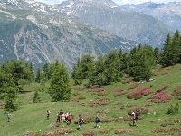 Gran finale in Val Susa con musica dal vivo