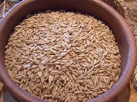 L'avena